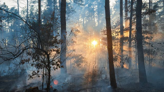 I Have a National Park Trip Planned. Should I Cancel Because of Smoke and Wildfires?