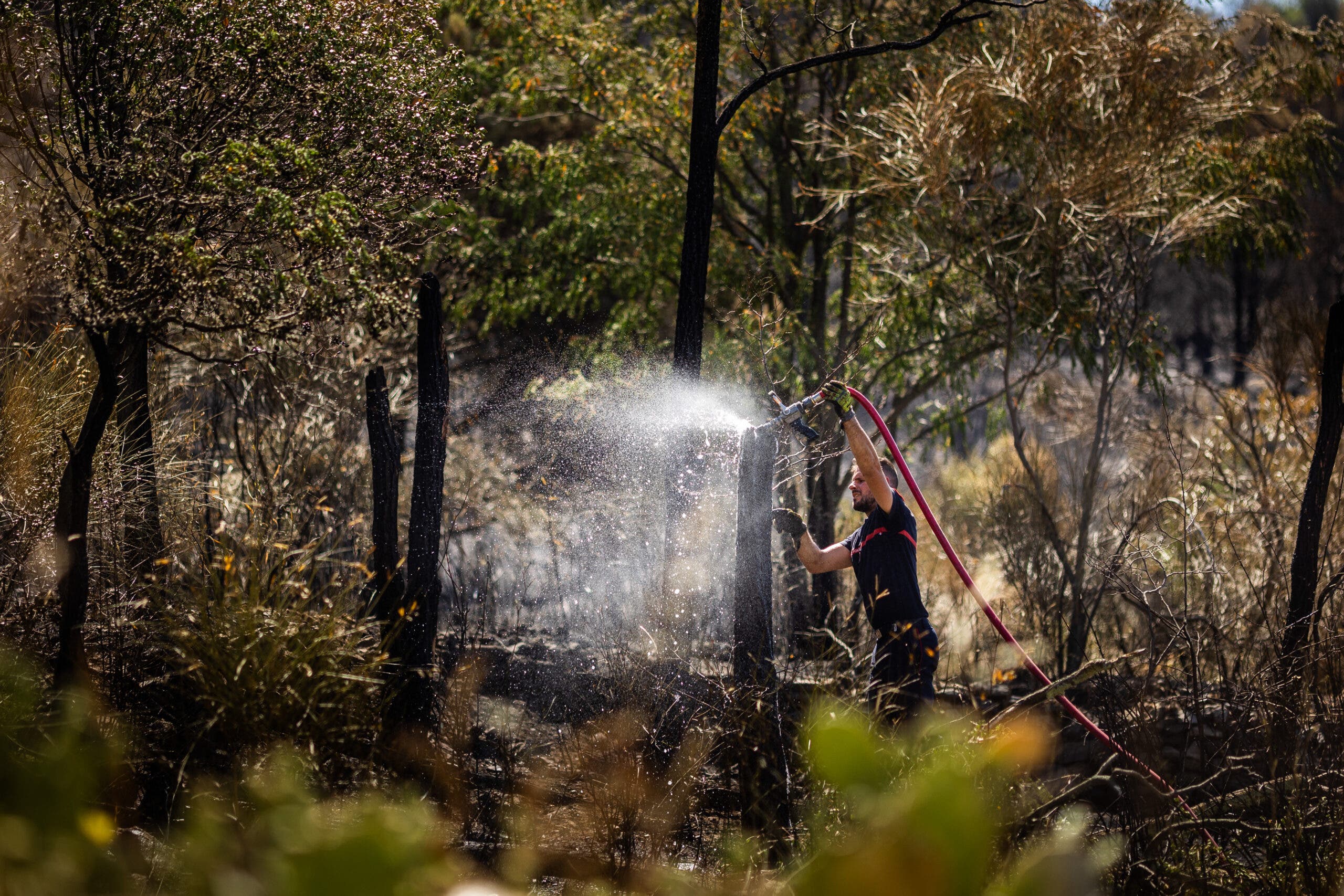 France wildfires 