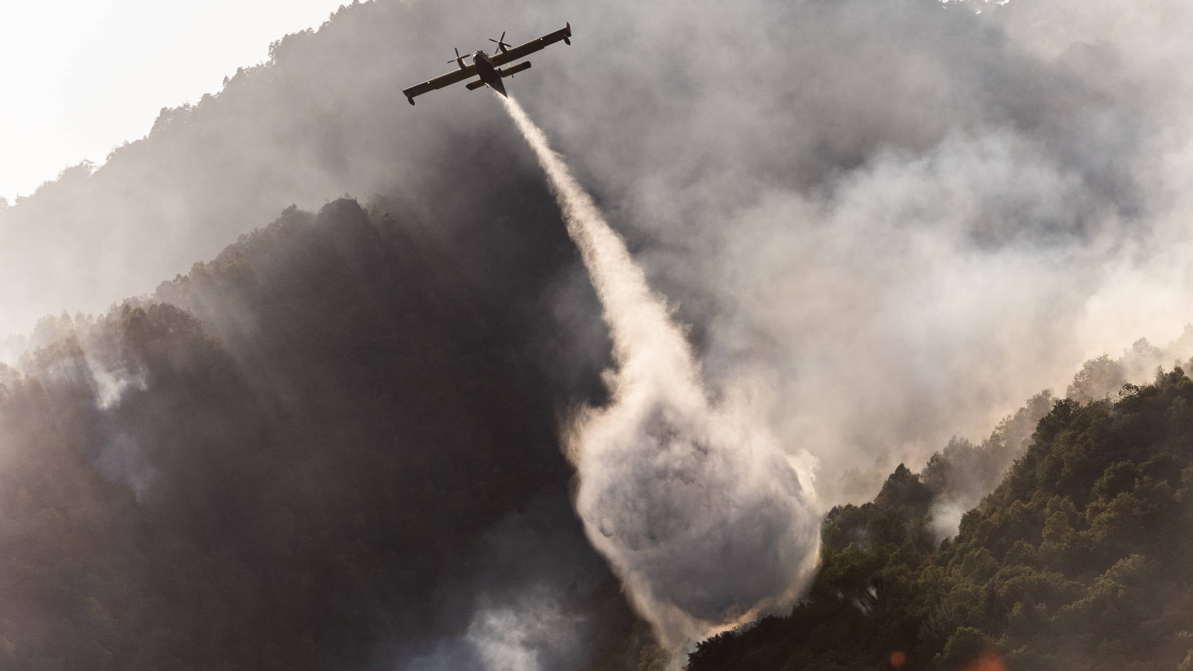 What Travelers Need to Know About This Summer's Raging Wildfires
