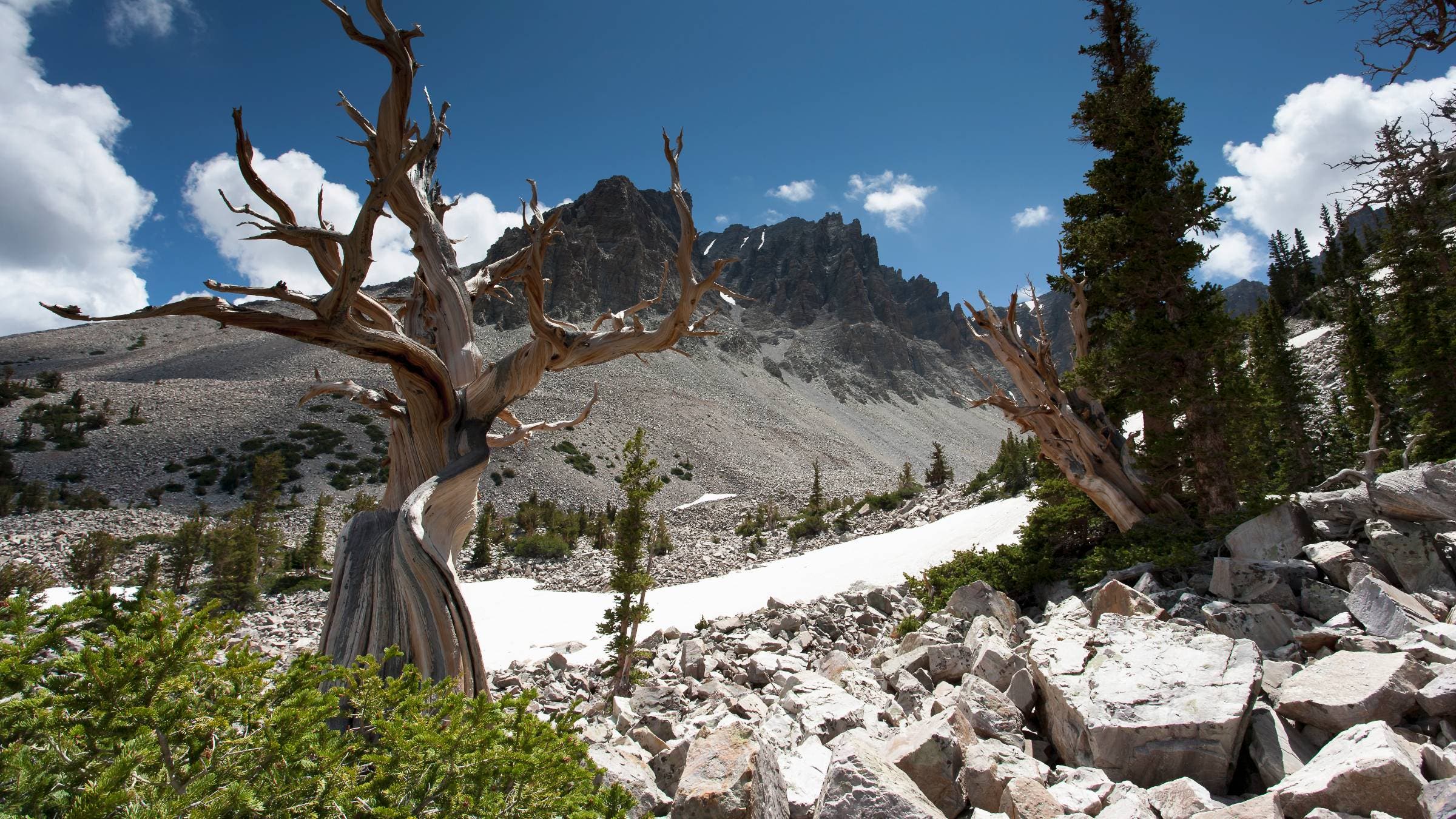 Great Basin National Park 