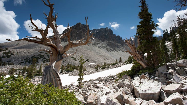 Great Basin National Park 