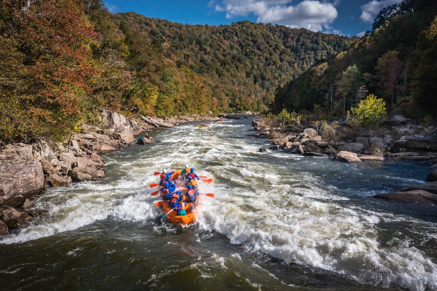 AOTG