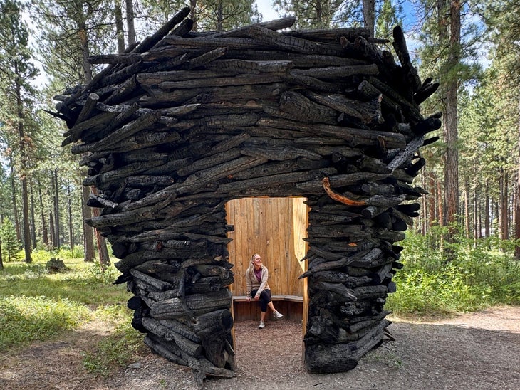 Sculpture in the Wild 