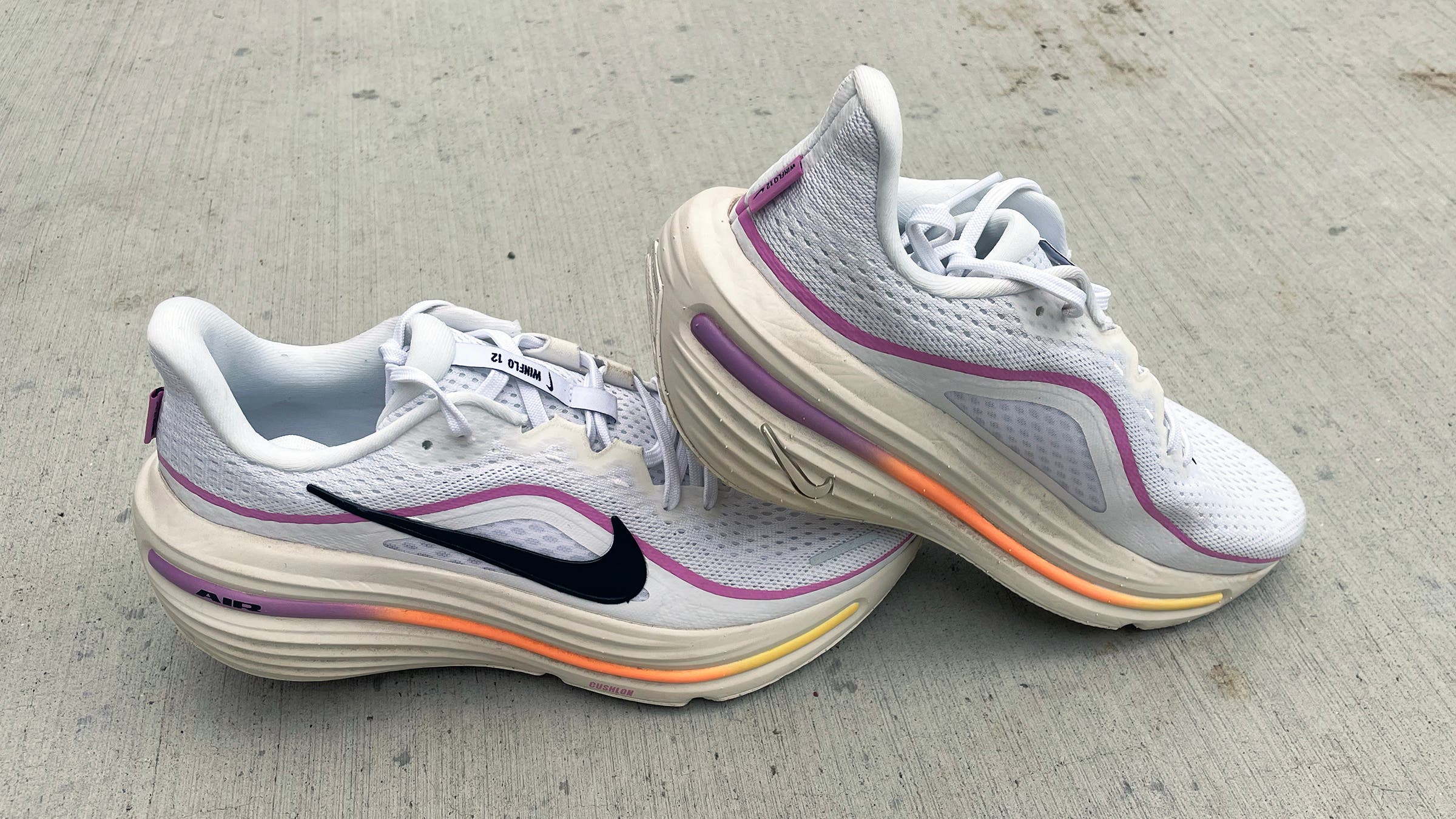 Nike Winflo 12 budget running shoes