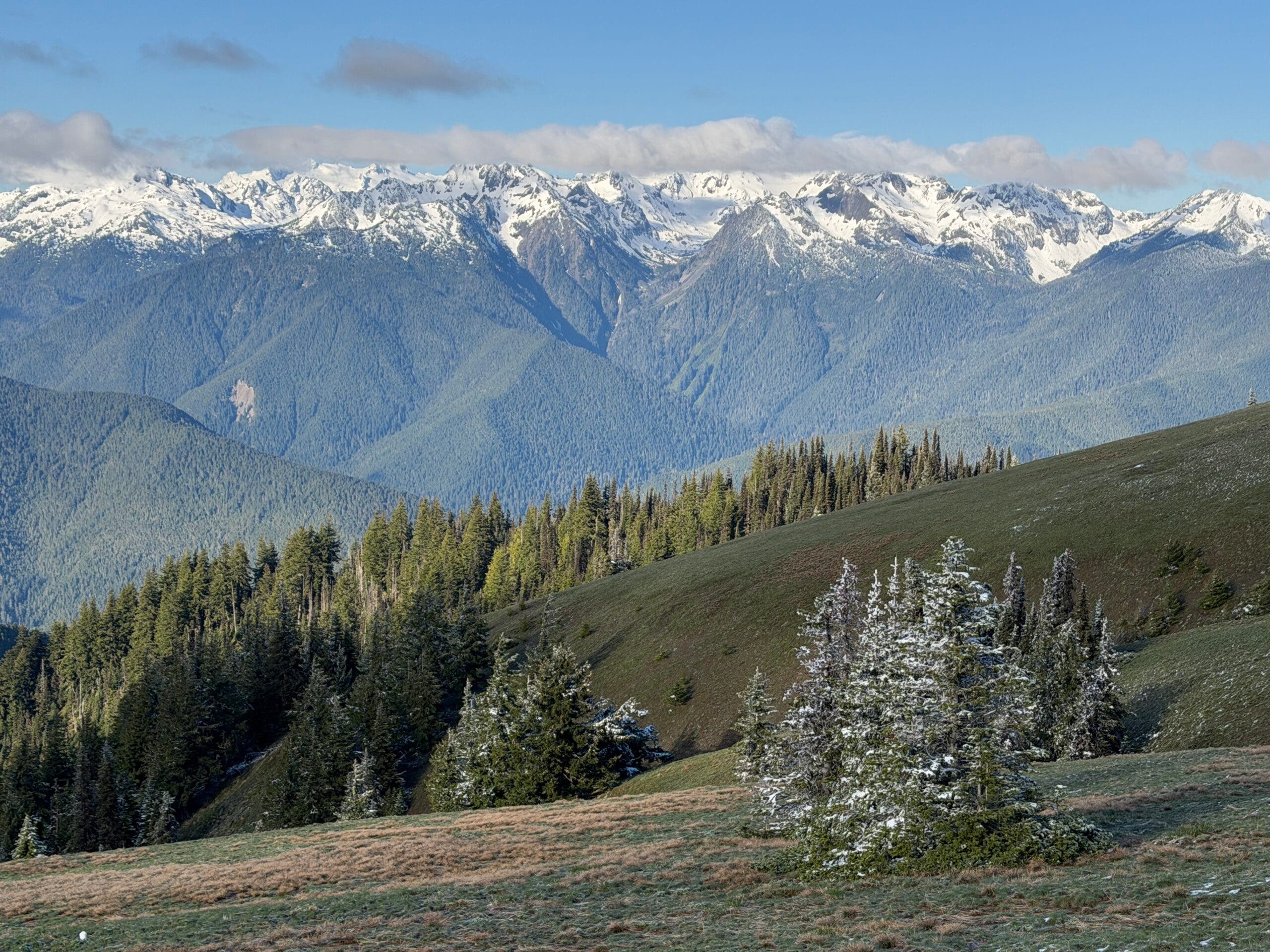 Hurricane Ridge, Washington, Coolcation