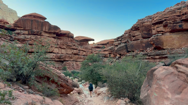 Everything I Wish I Knew Before Hiking Into the Grand Canyon's Havasu Falls