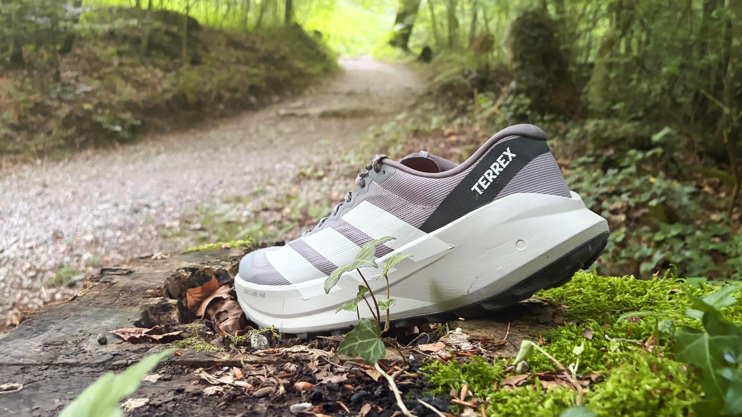Adidas Terrex Agravic S on hiking trail running shoe for rugged trail