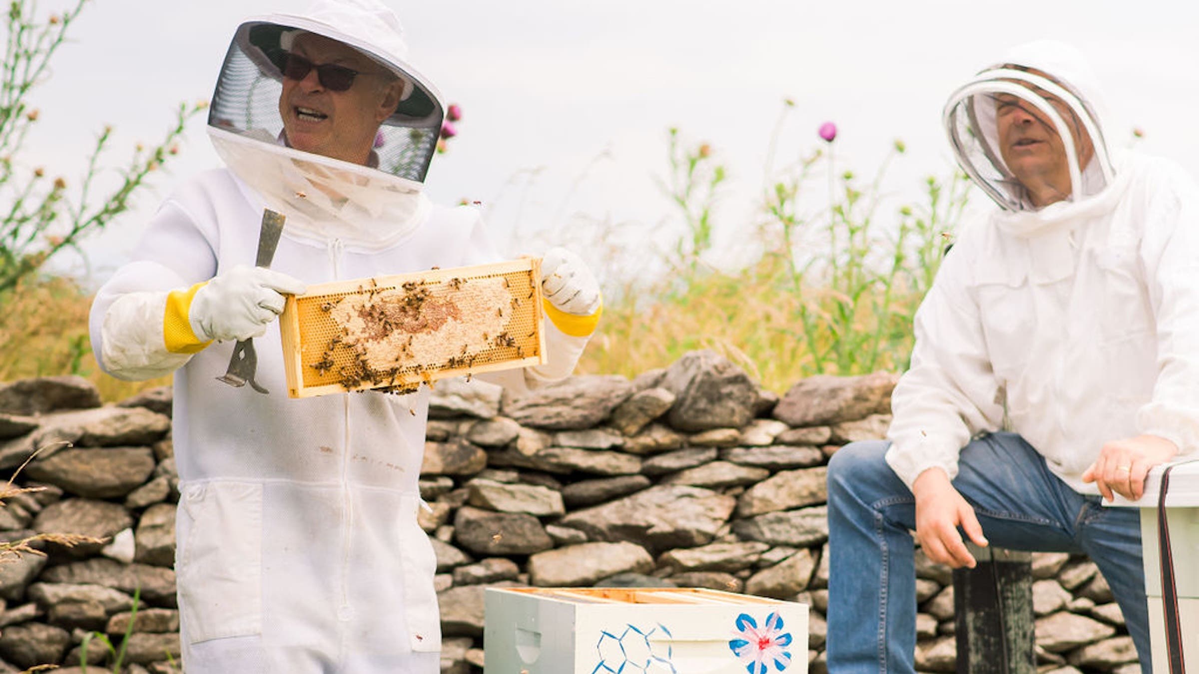 Beekeeping at Goodstone Inn