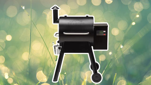 My Secret to Never Serving Dry Chicken? The Traeger Pro 575.
