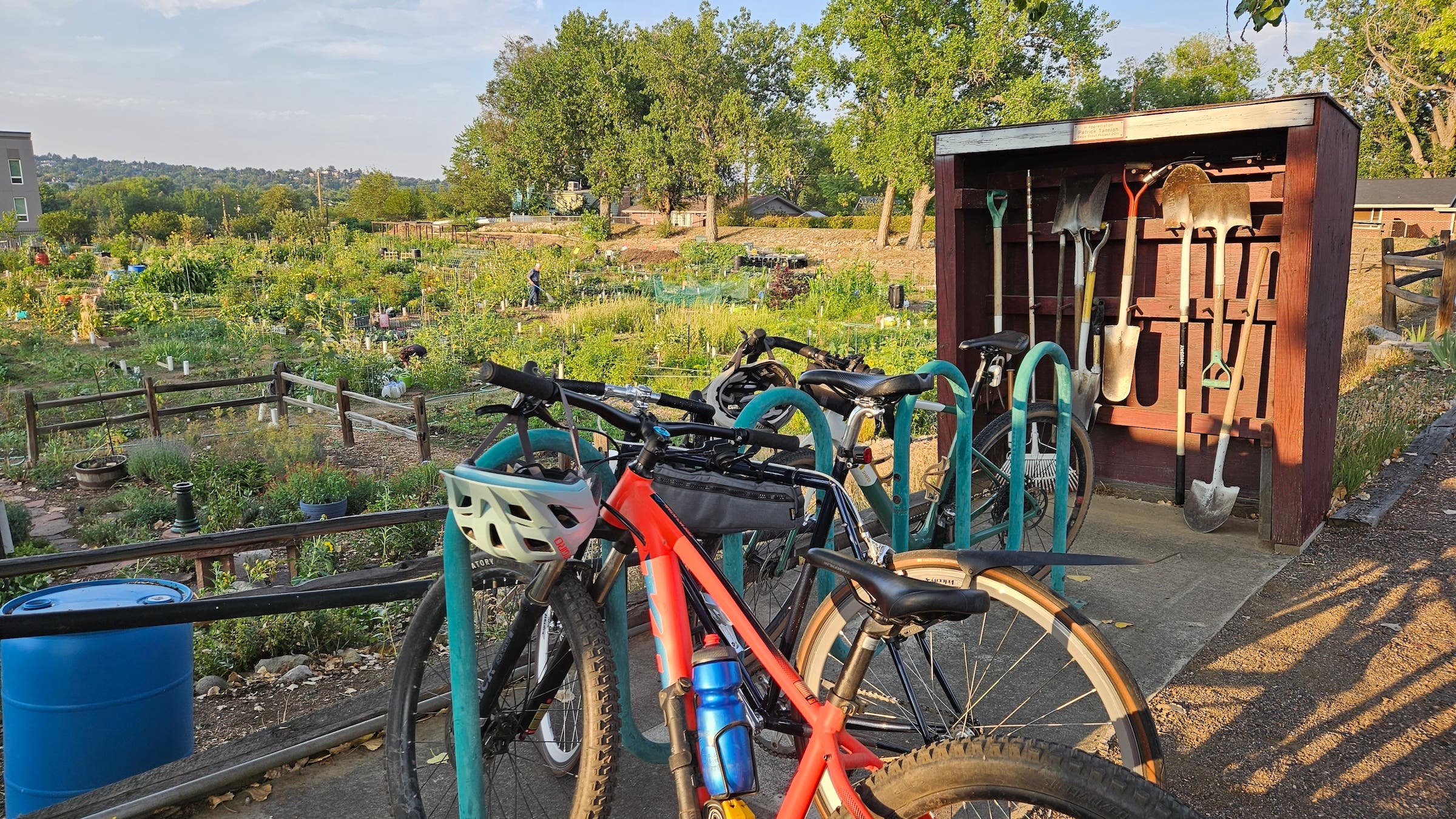 Bikes at the community garden