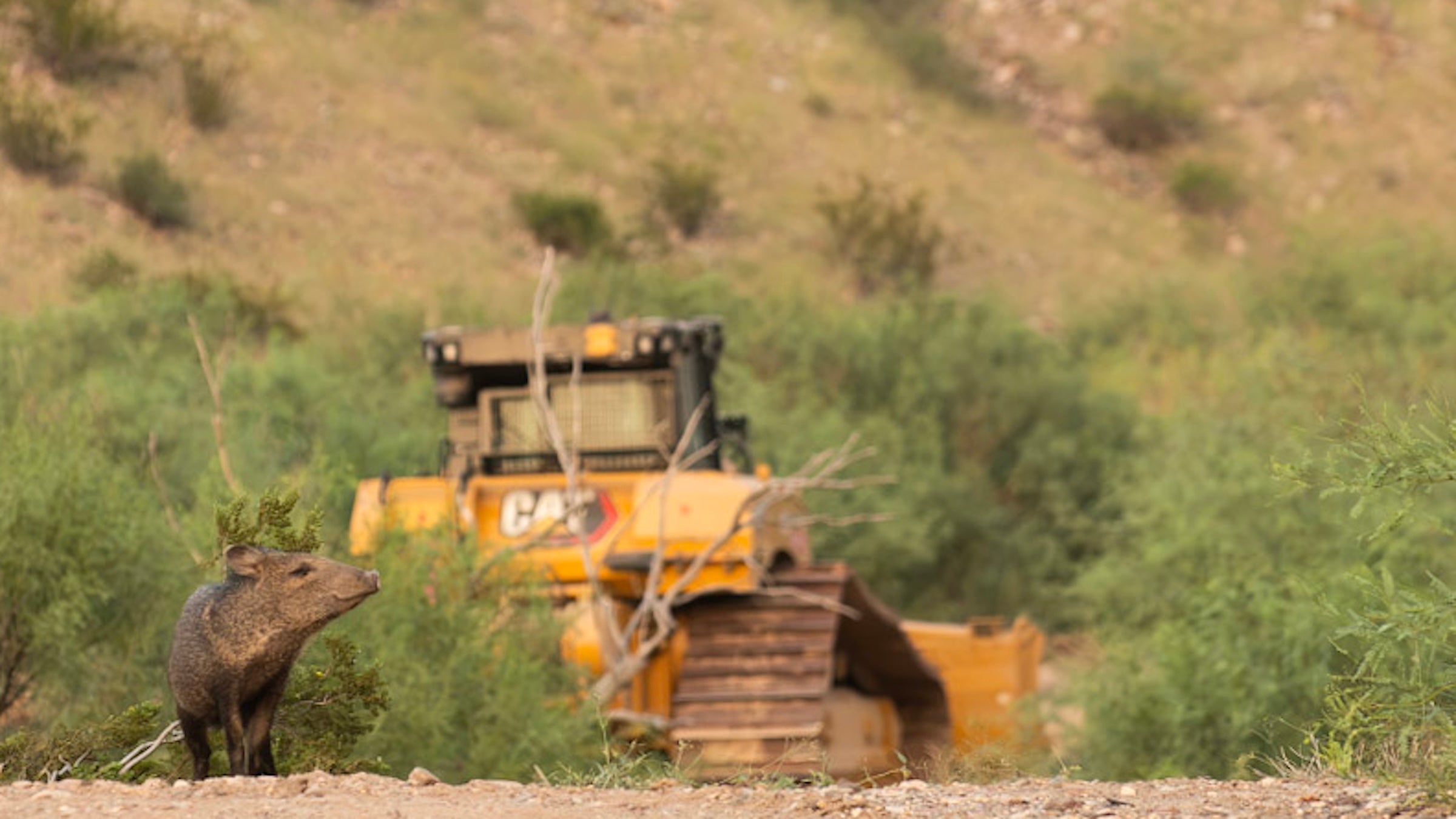 “Warfare on the People.” Big Bend Residents Fear the Border Wall Will Cut Off Public Lands.