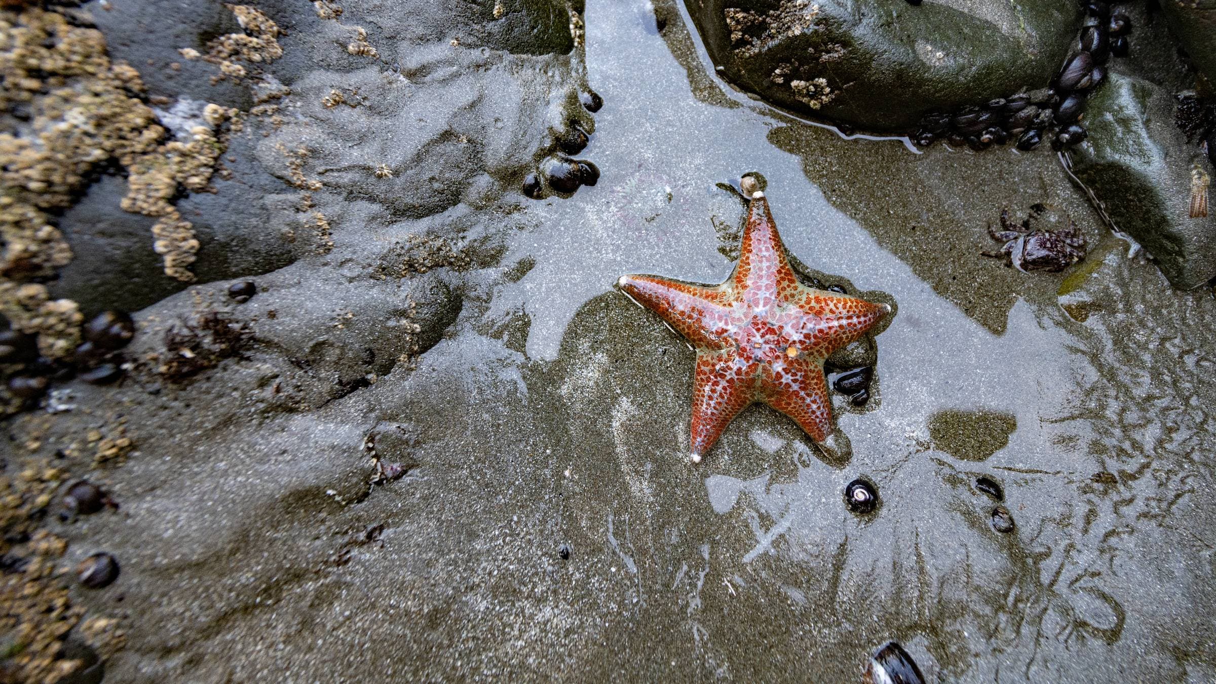 Enderts Beach, Redwood National Park, California