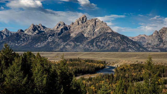 A Bear Encounter Left Two Hikers Stranded in Remote Wilderness Near Grand Teton National Park