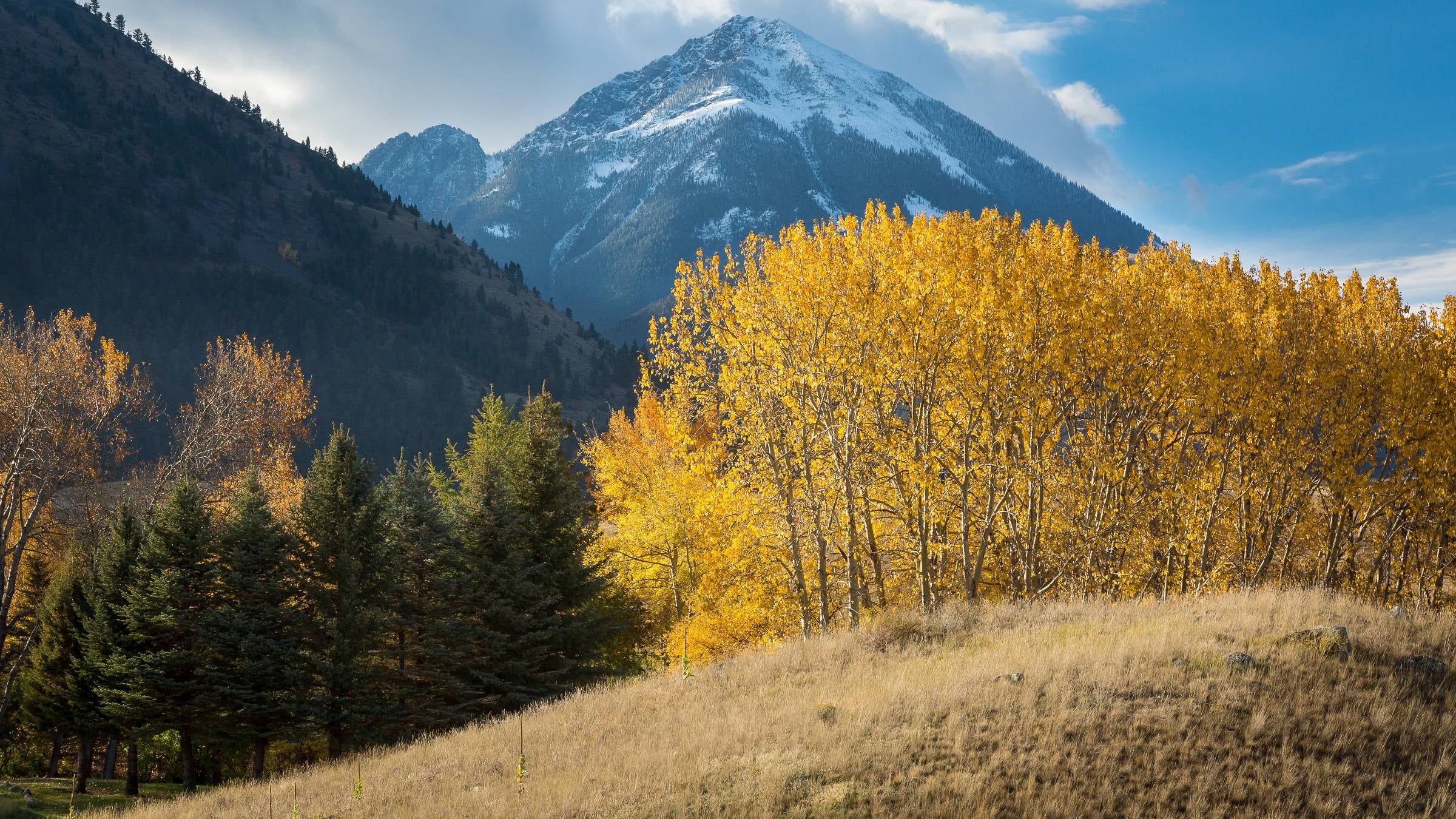 Inside Big Sky's First Food and Wine Festival Coming to Montana This Fall
