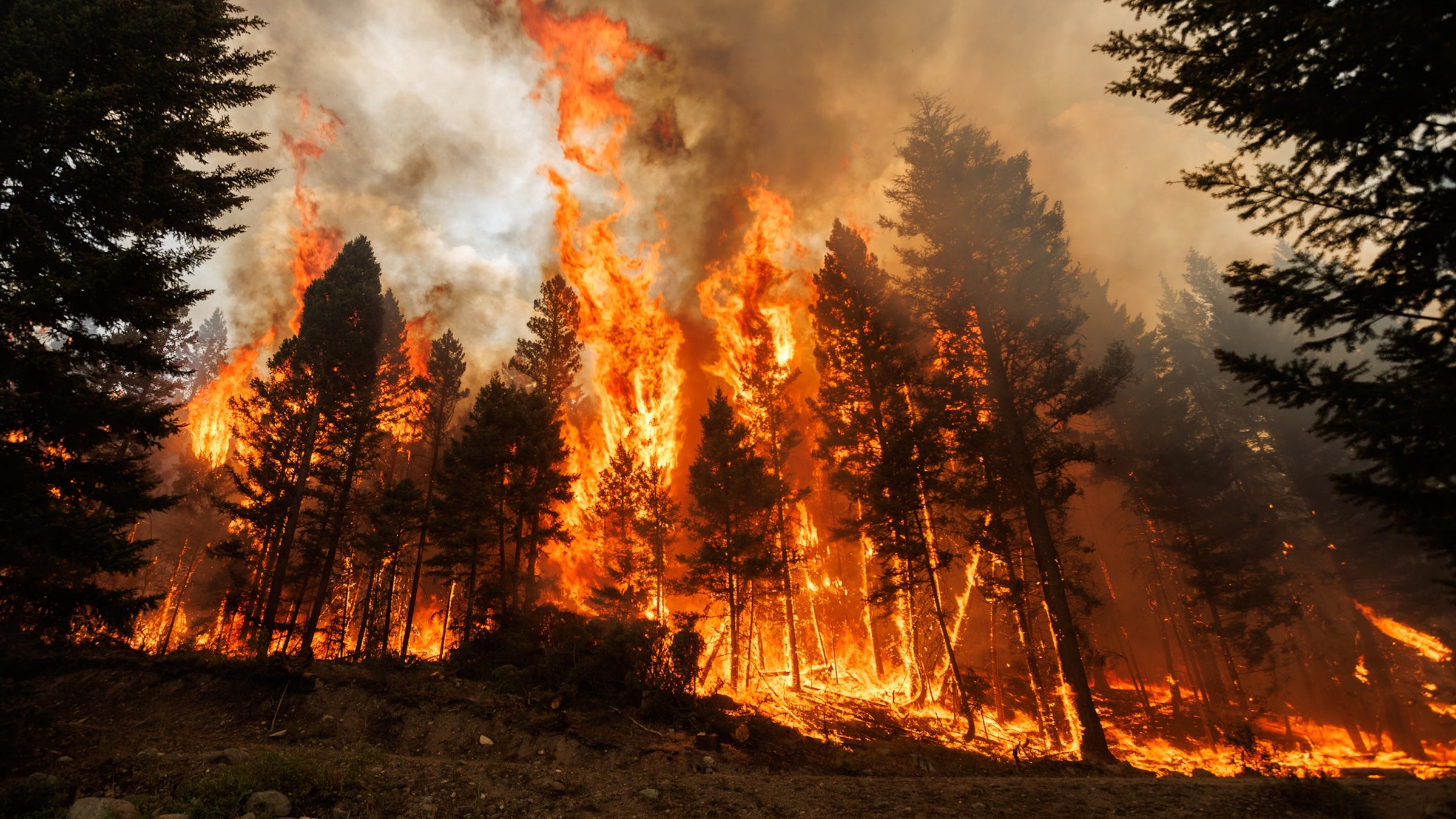 People Are Betting Millions on Active Wildfires. Now Congress Wants to Stop It.