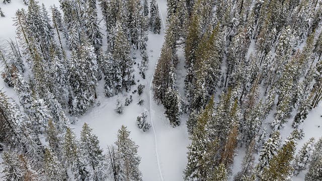California Regulators Have Hit a Guiding Company with Hefty Fines for the Tahoe Avalanche
