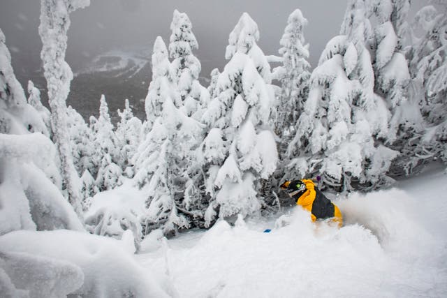 The Farmers’ Almanac Just Weighed In on the Winter Forecast We’ve All Been Watching