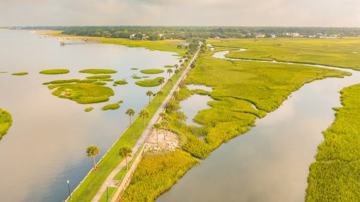 Pitt Street Bridge
