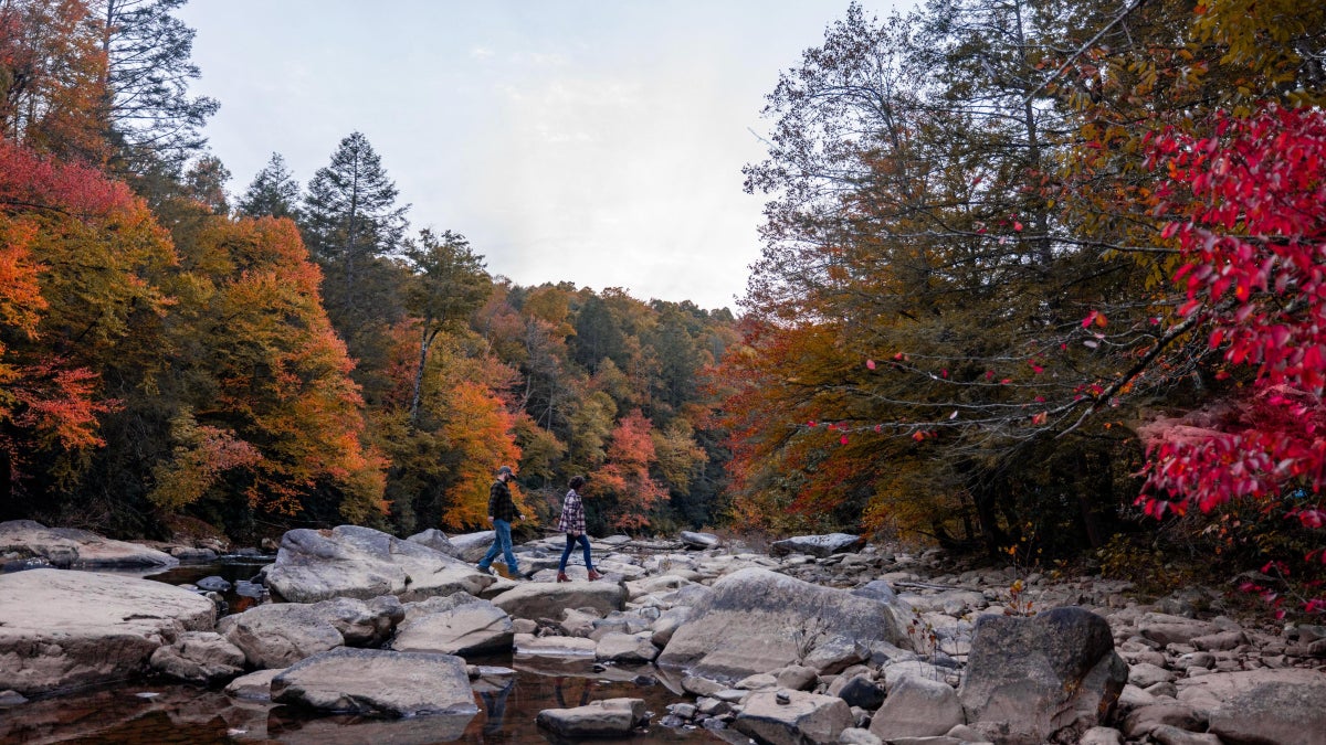 Discover Fall at Its Best in West Virginia’s State Parks