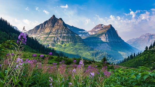 It's National Park Week. Celebrate with Us.