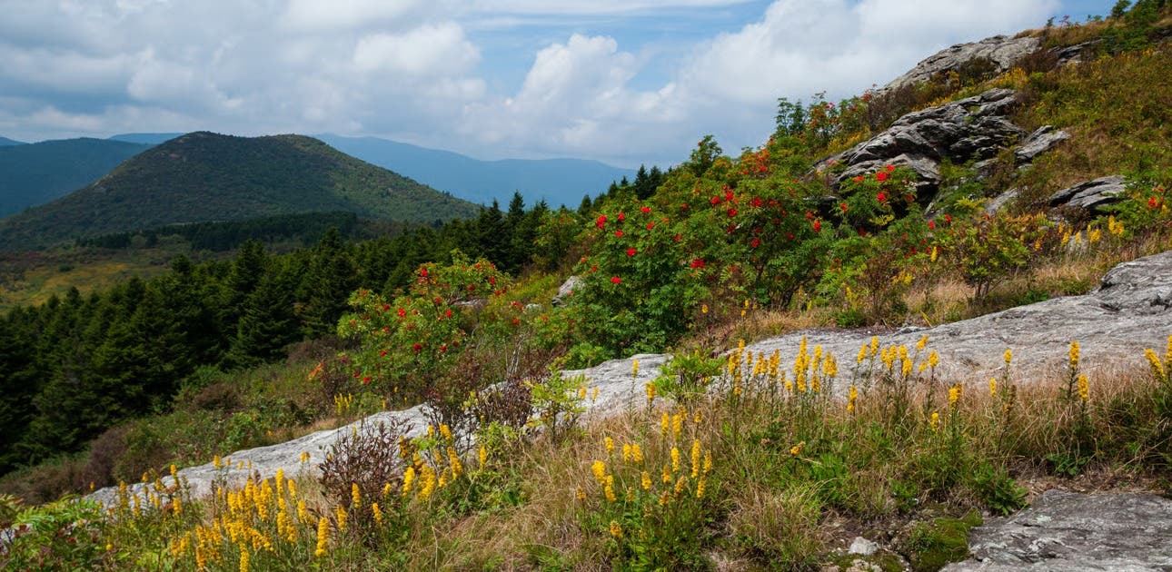 5 Steep Trail Running Routes Worth the Challenge
