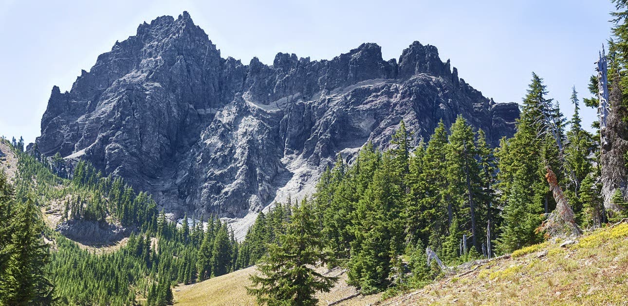 Three Fingered Jack