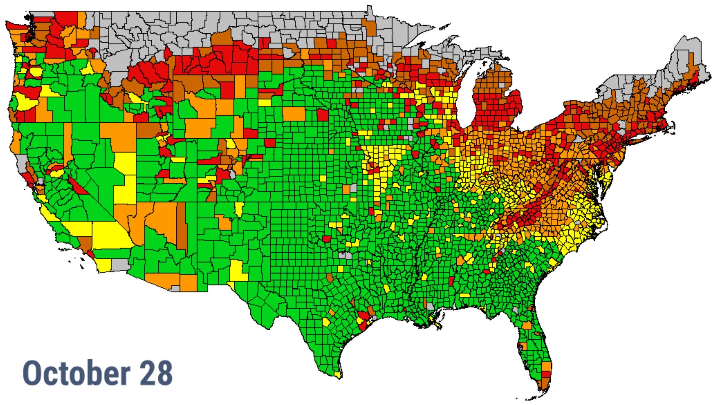 October 28 fall colors