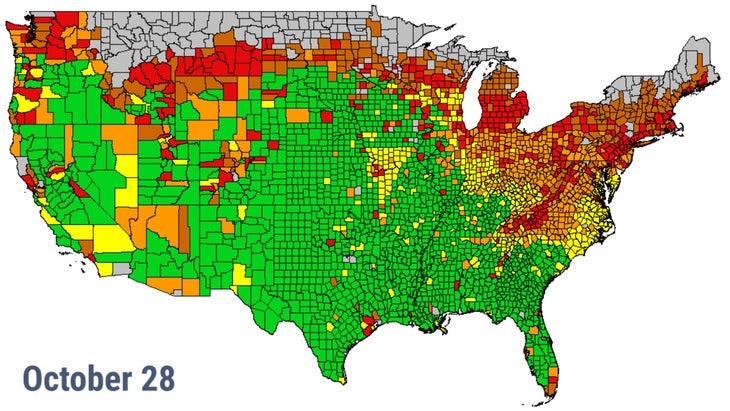 October 28 fall colors