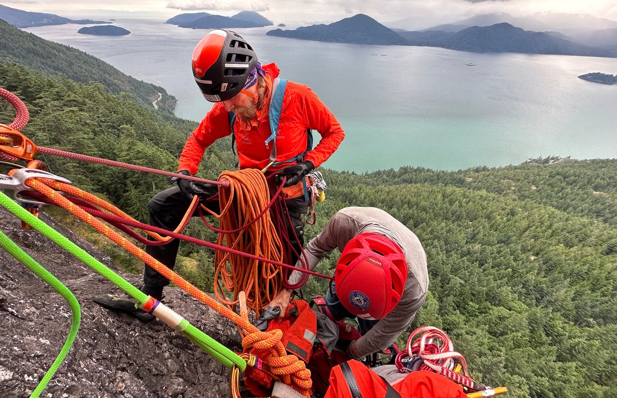 Initial Reports Said a Climber Was Stung by Wasps 100 Times. Here’s the Real Story.