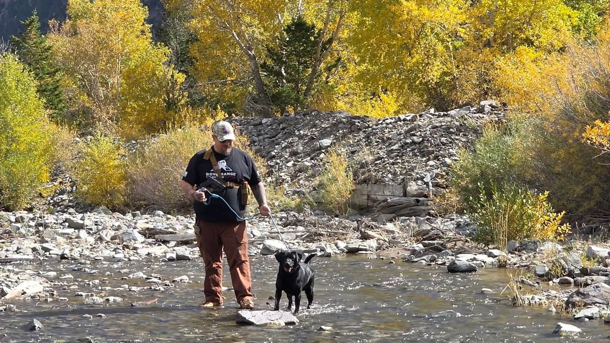 When a Mountain Lion Attacked His Dog, Wyoming Photographer Adam Borkhus Kicked the Cougar in the Face