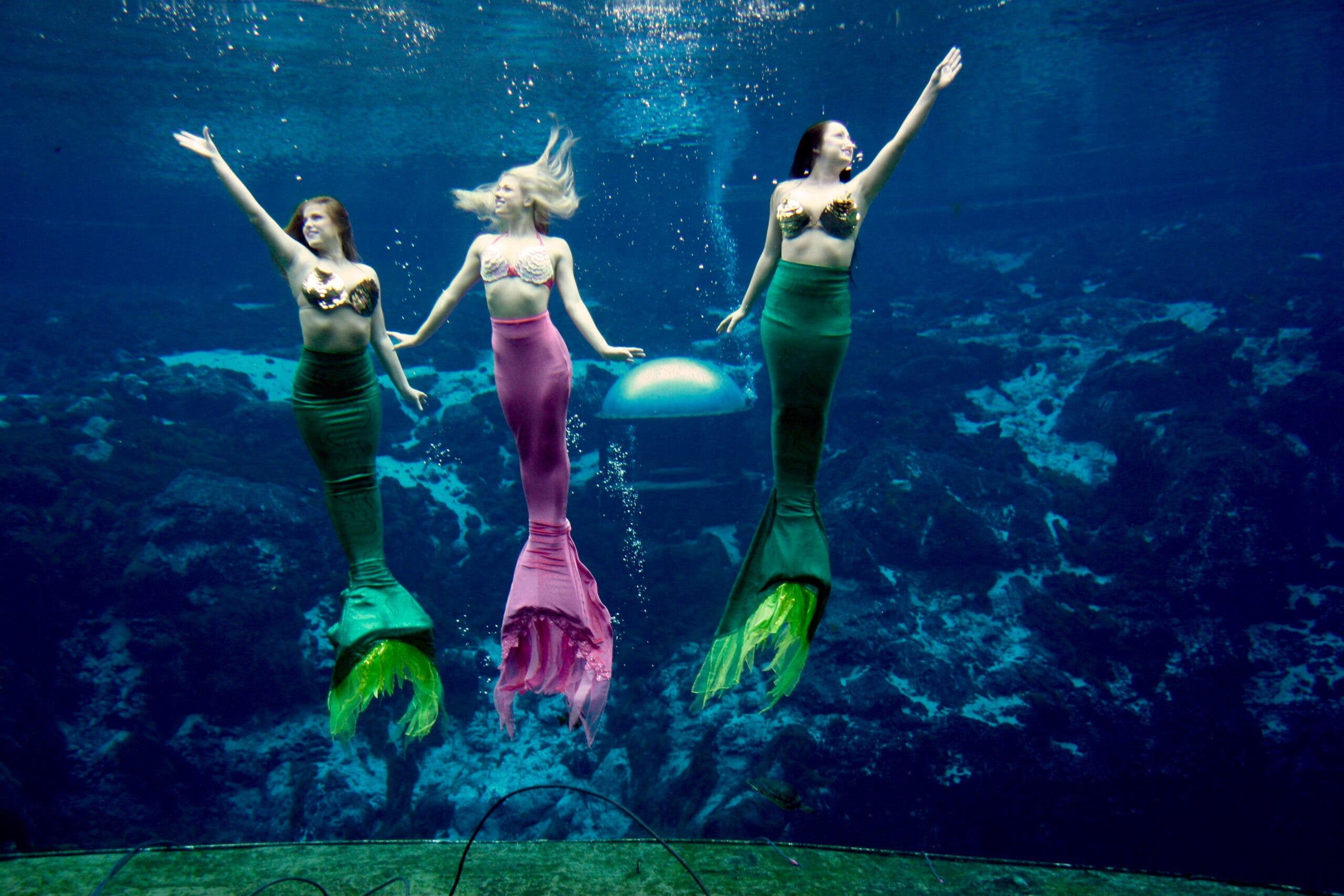 Learning How to Be a Real Mermaid With Florida’s Legendary Weeki Wachee Sirens