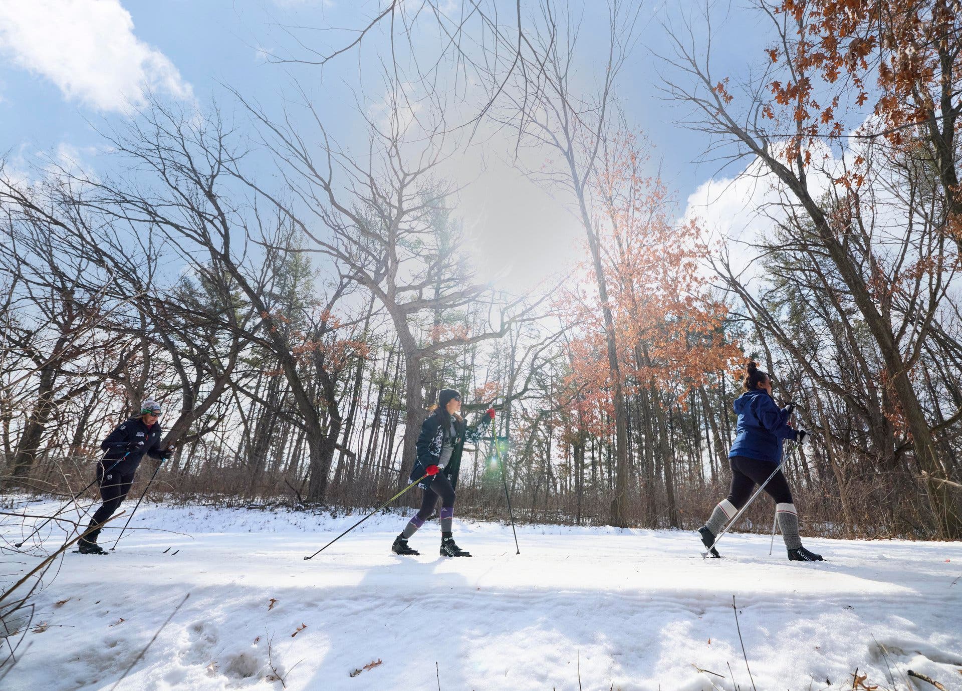 Minneapolis Theodore Wirth Regional Park