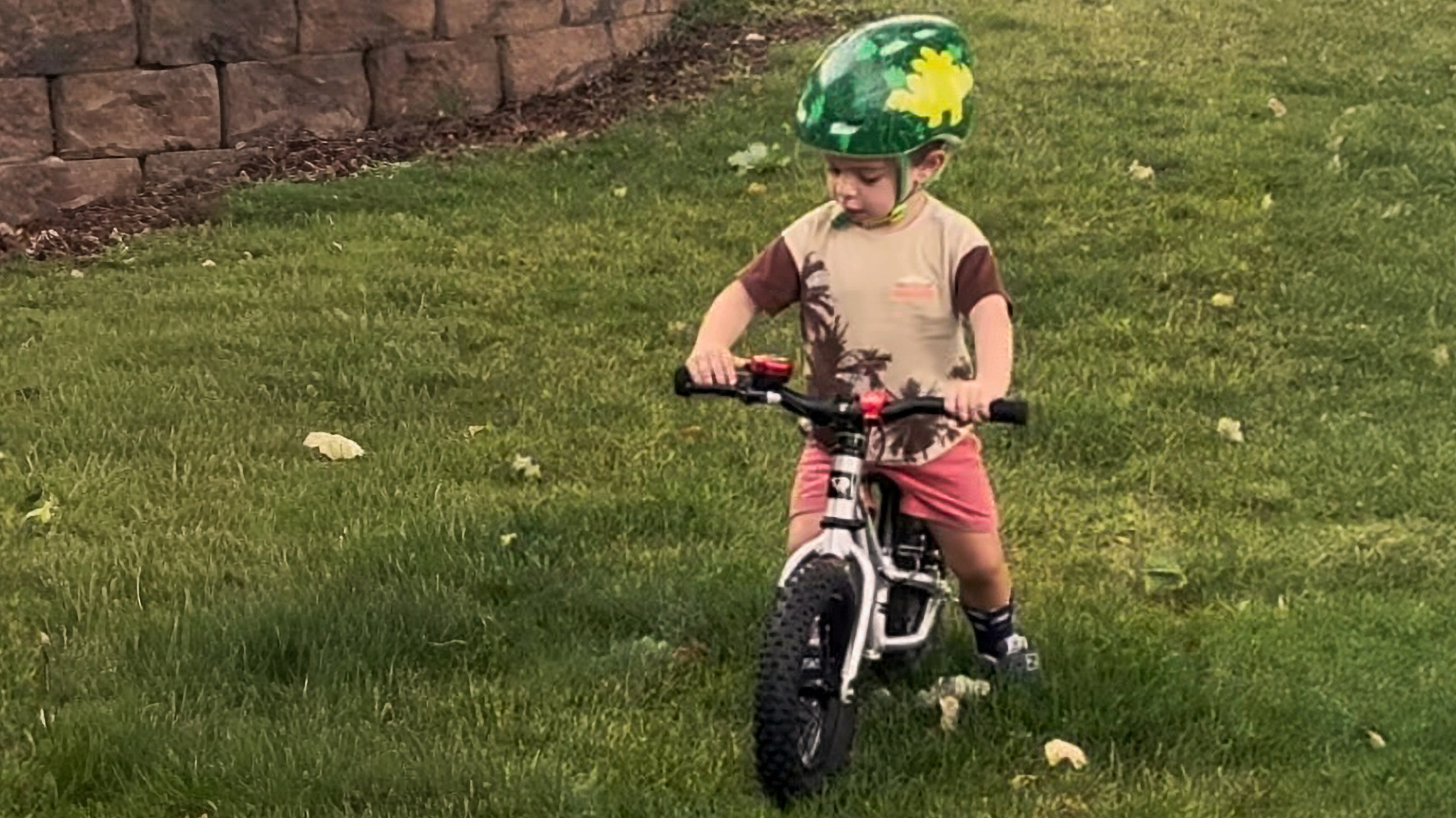 Toddler wearing a green dinosaur helmet riding the Early Rider Bigfoot 12 balance bike with 2.25-inch knobby tires on a grassy lawn.