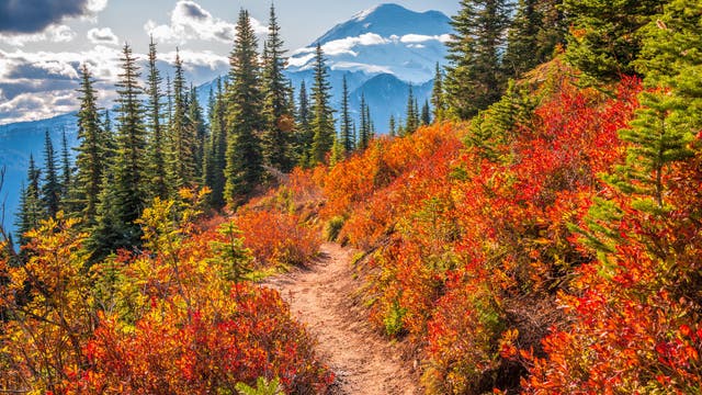 Fall Colors Are About to Pop Off. Here’s When They Peak in 12 National Parks. 