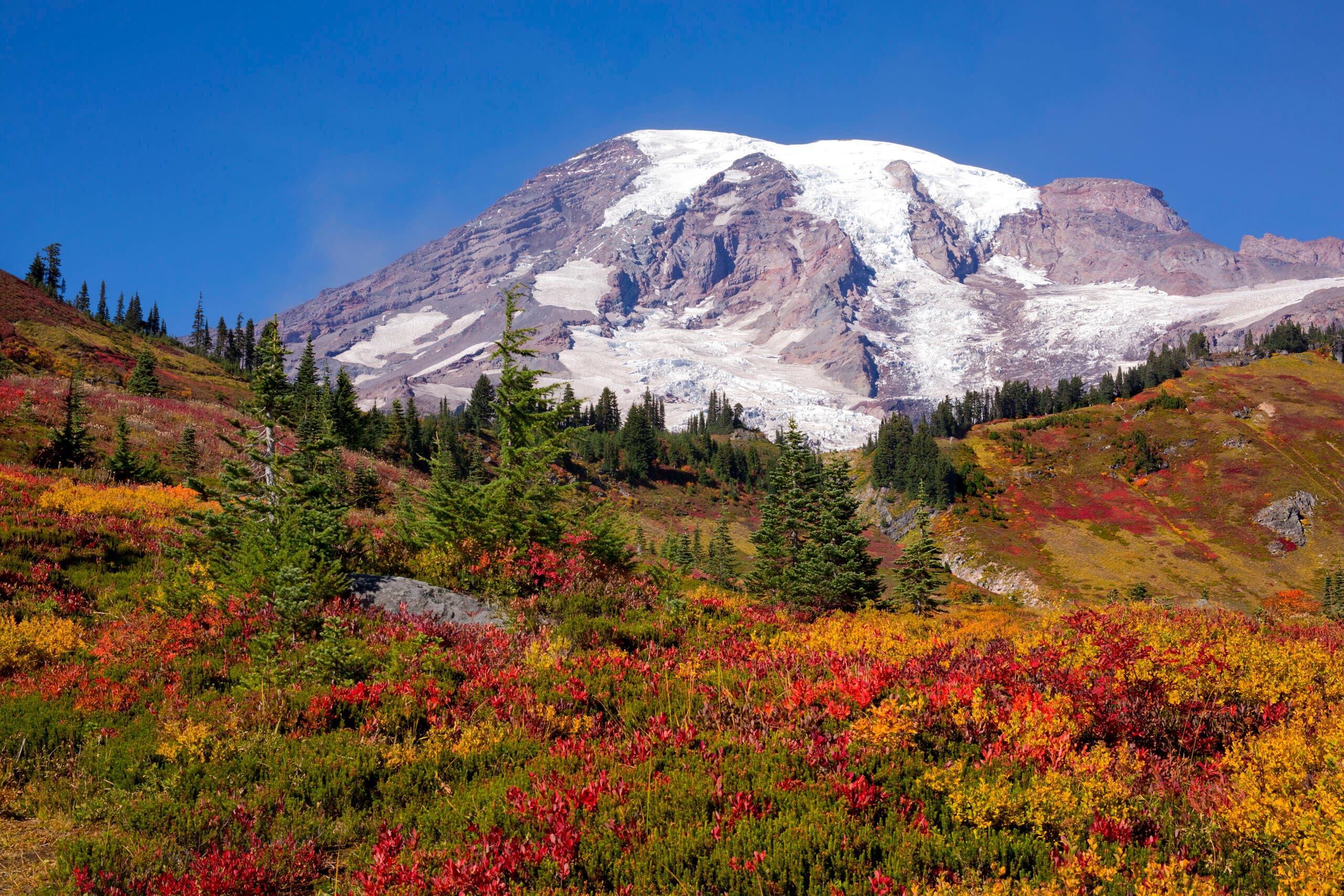 Climate Change is Making It Harder to Predict Fall Colors in National Parks