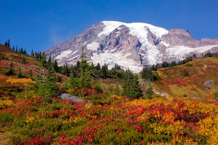 fall foliage at Mt. Rainier National Park in Washington state