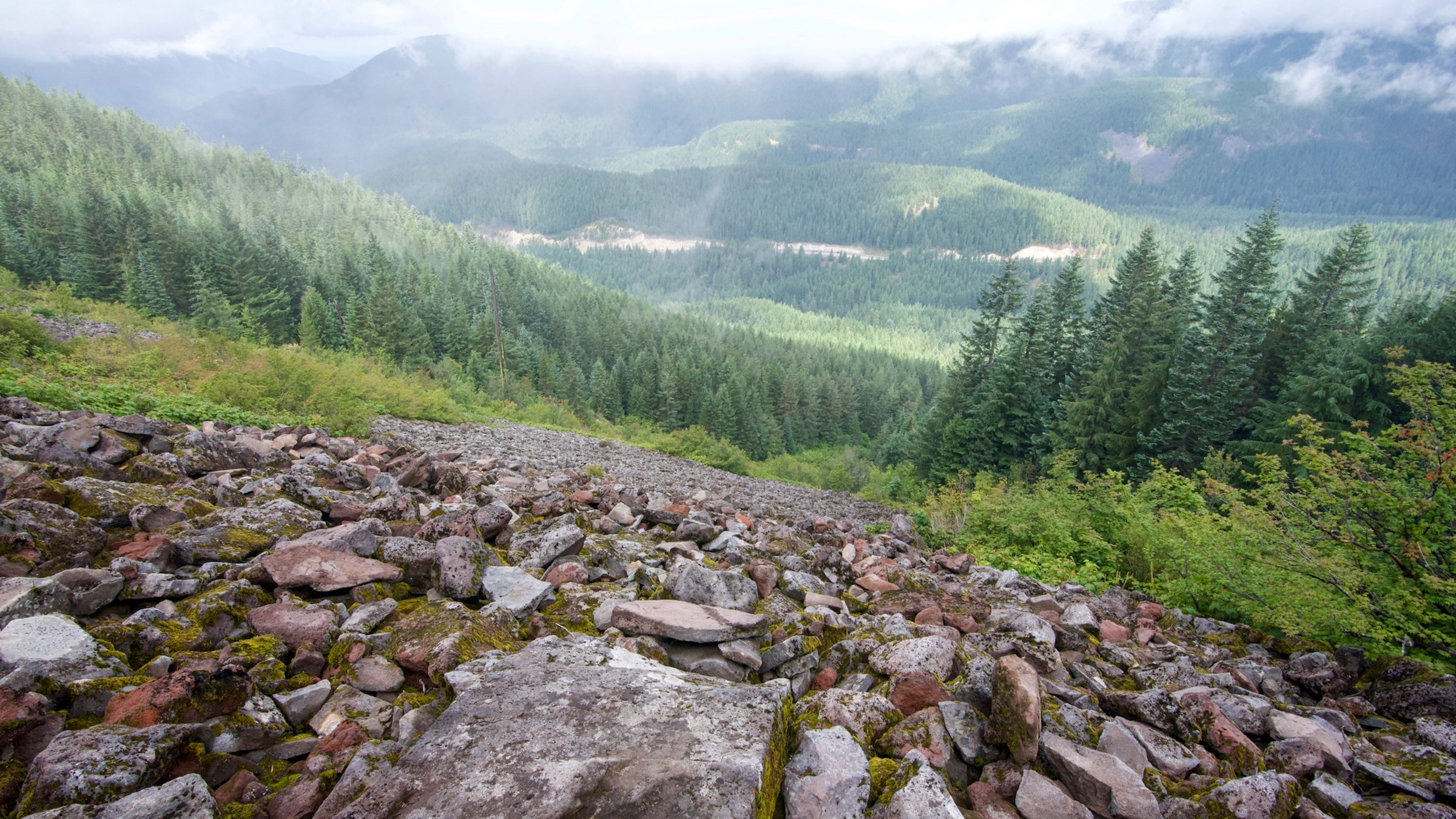 viewpoint from the trail shows the tom dick and harry wilderness area