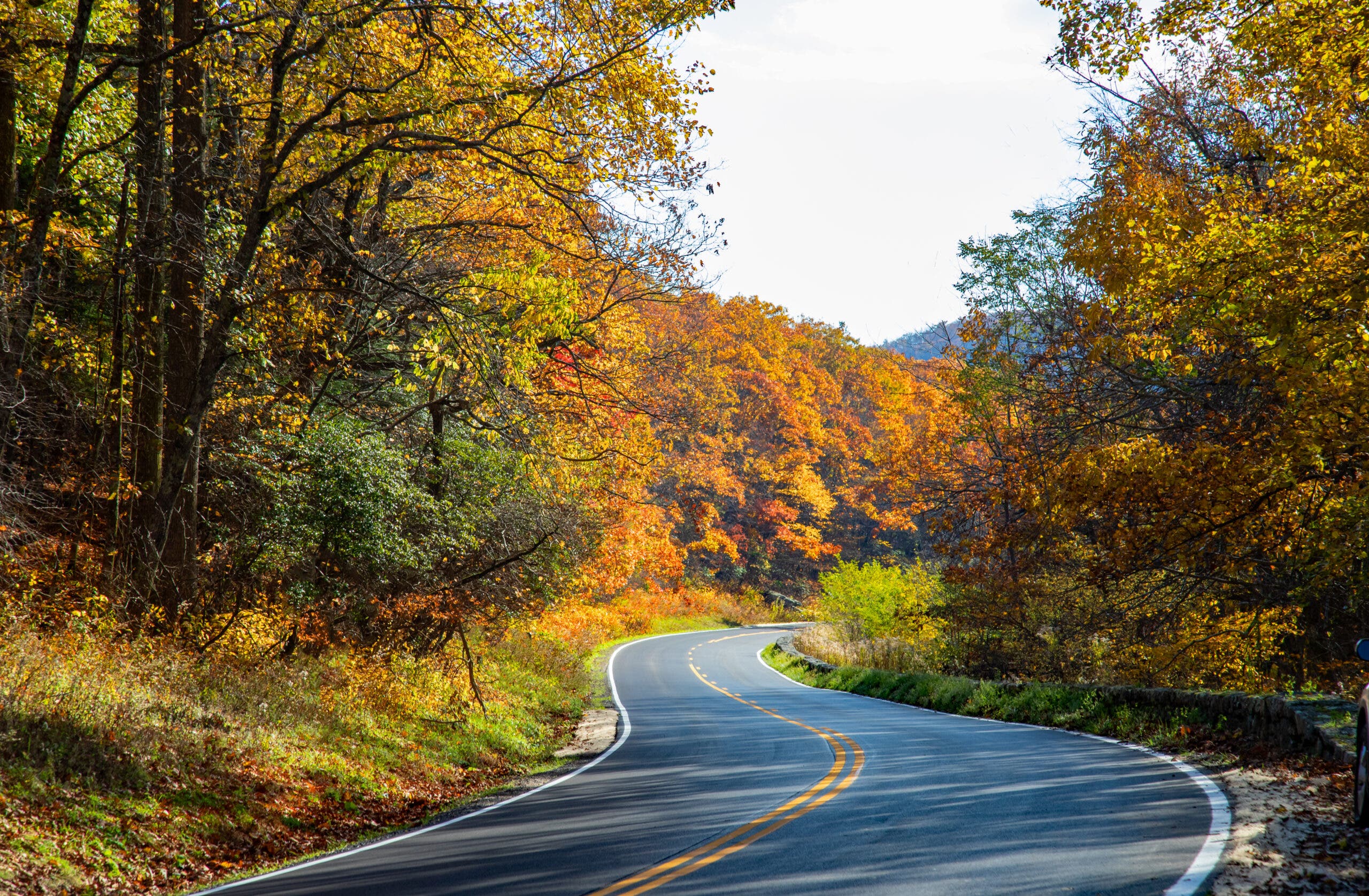 Skyline Drive in Shenandoah Park in autumn