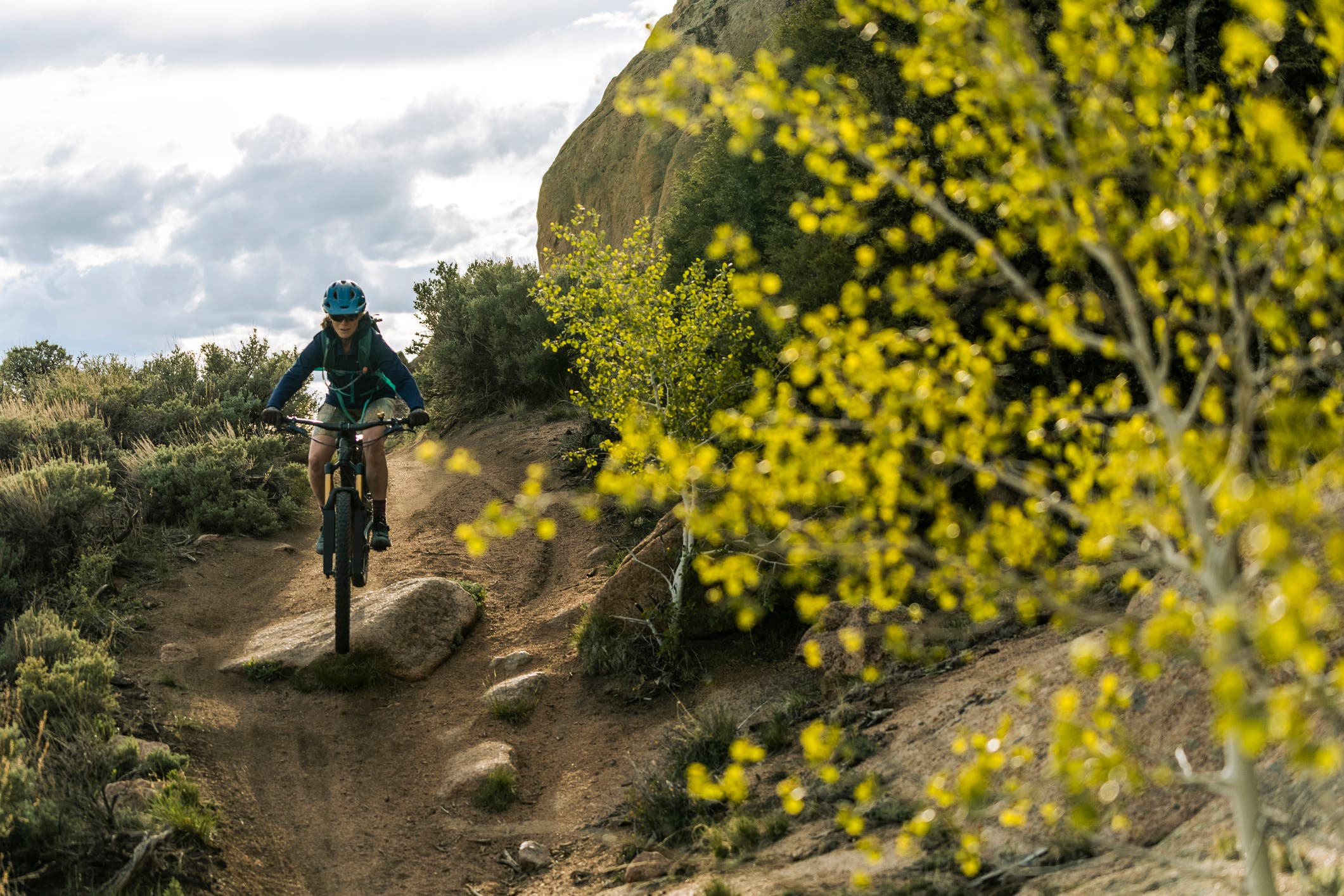 Your Fall Activity Roundup
