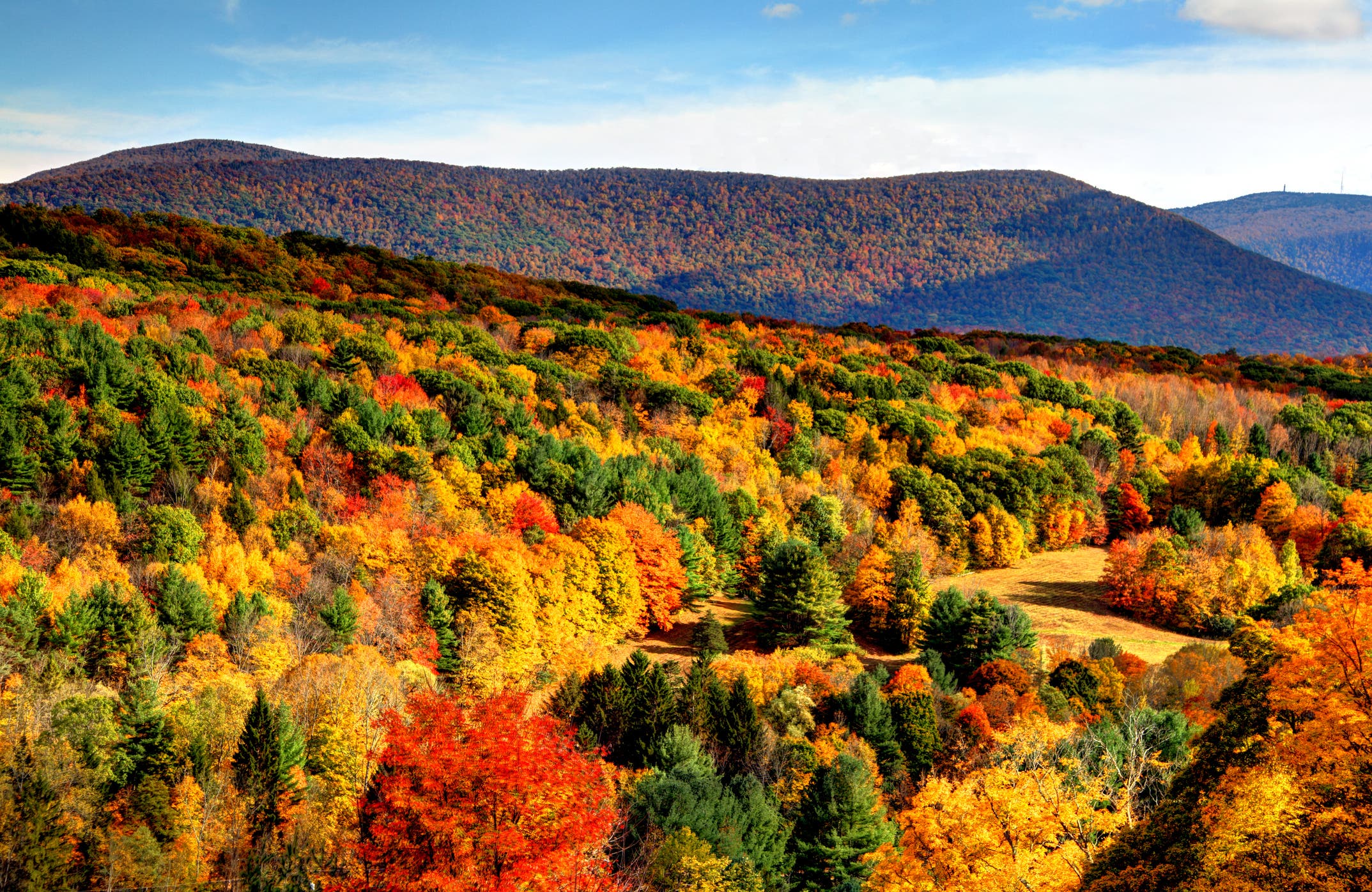 Your Fall Activity Roundup