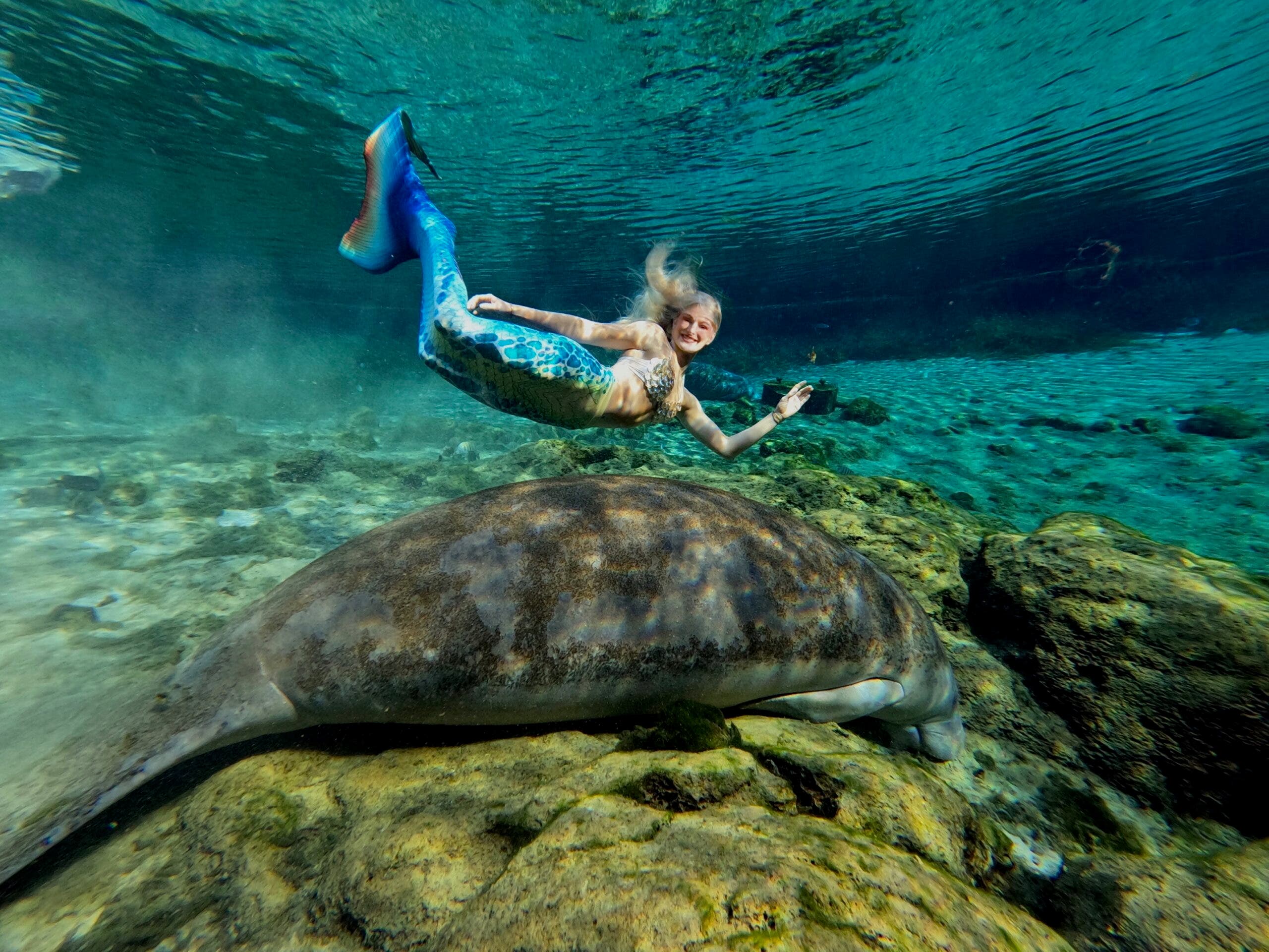 Weeki Wachee Mermaids 