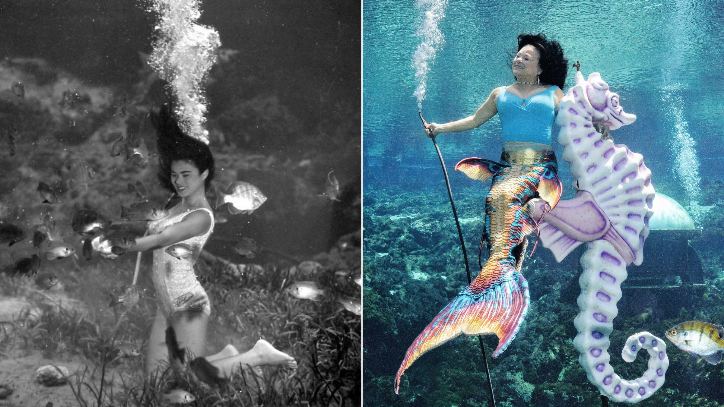 Rita King Weeki Wachee Mermaid
