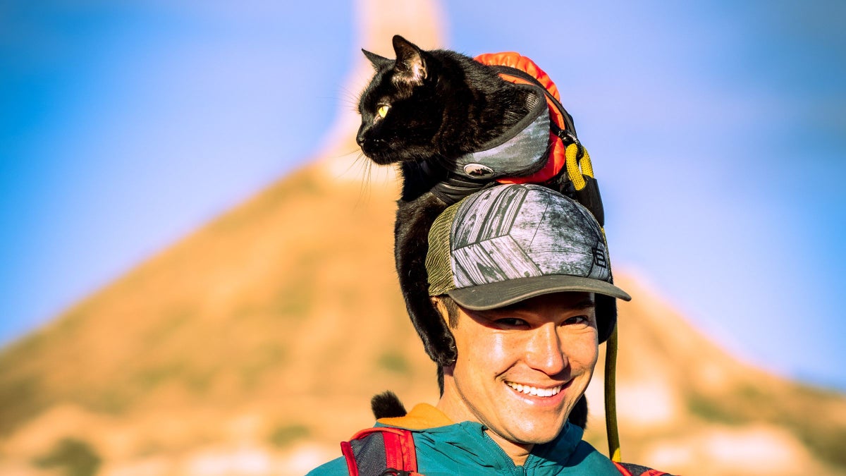 The High-Altitude Journey of the World’s Most Famous Adventure Cat
