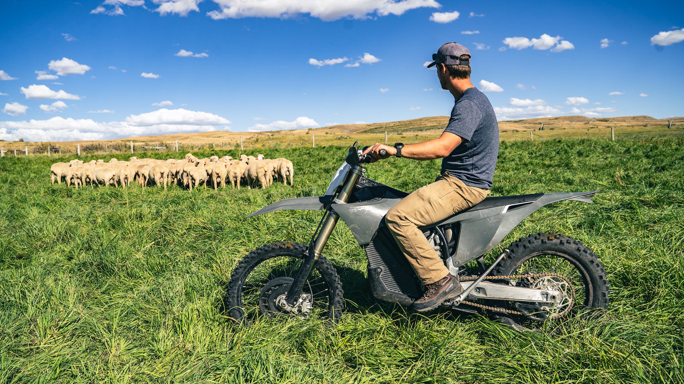 Electronic enduro bike in grassy field herding a flock of sheep