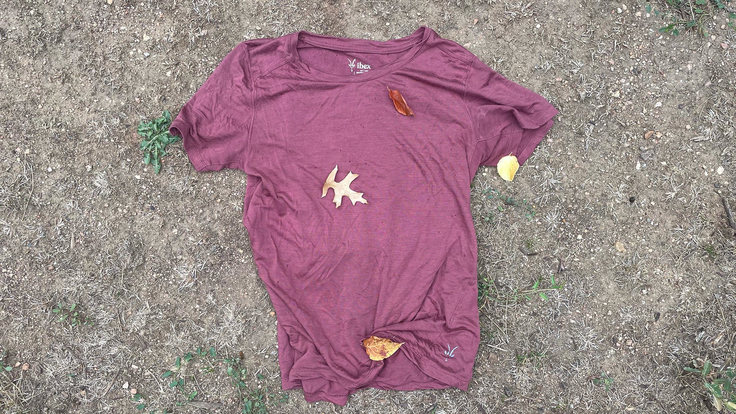 Maroon Ibex wool running tee with fall leaves