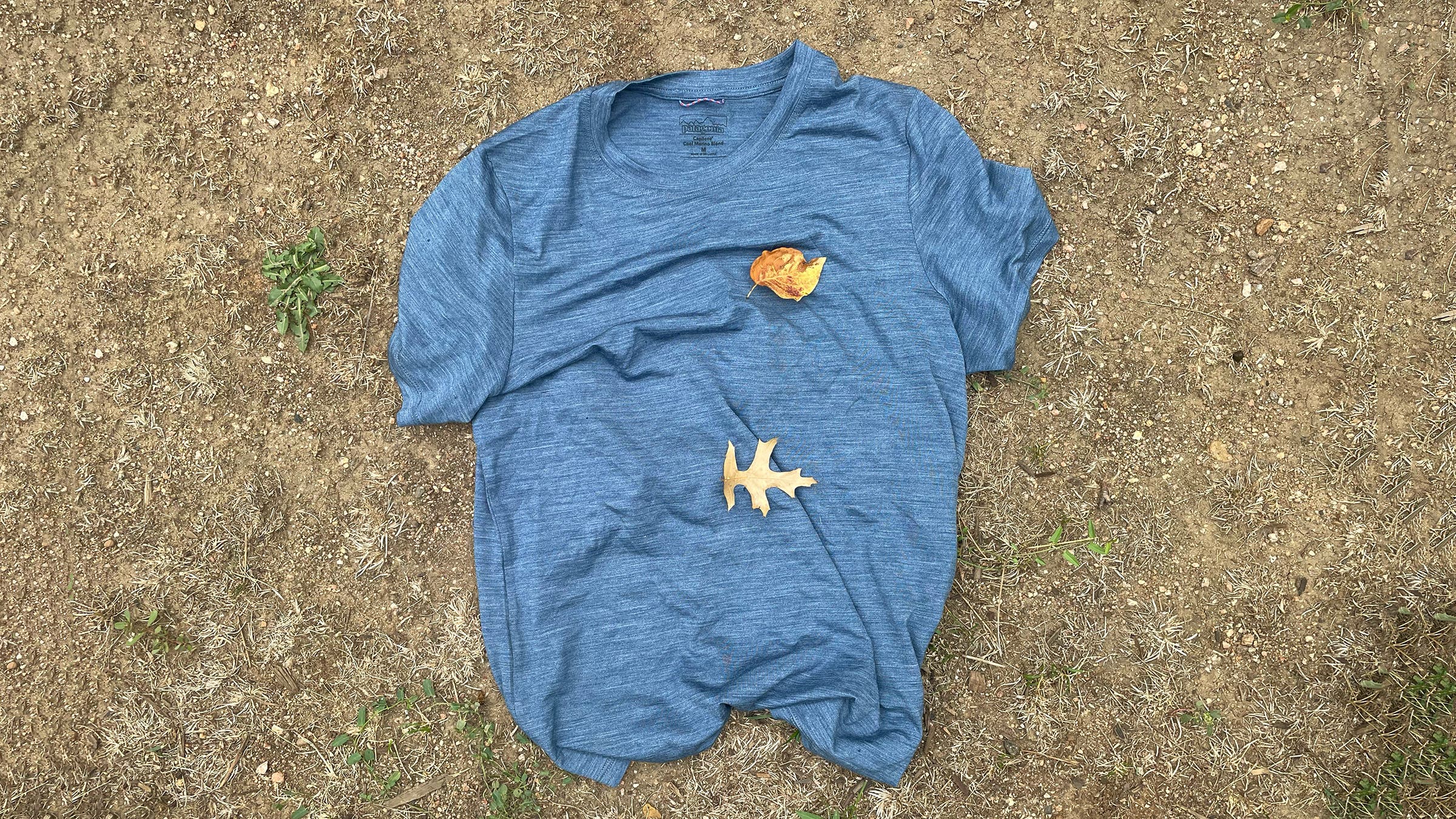 Blue Patagonia wool running tee lying on tawny autumn grass