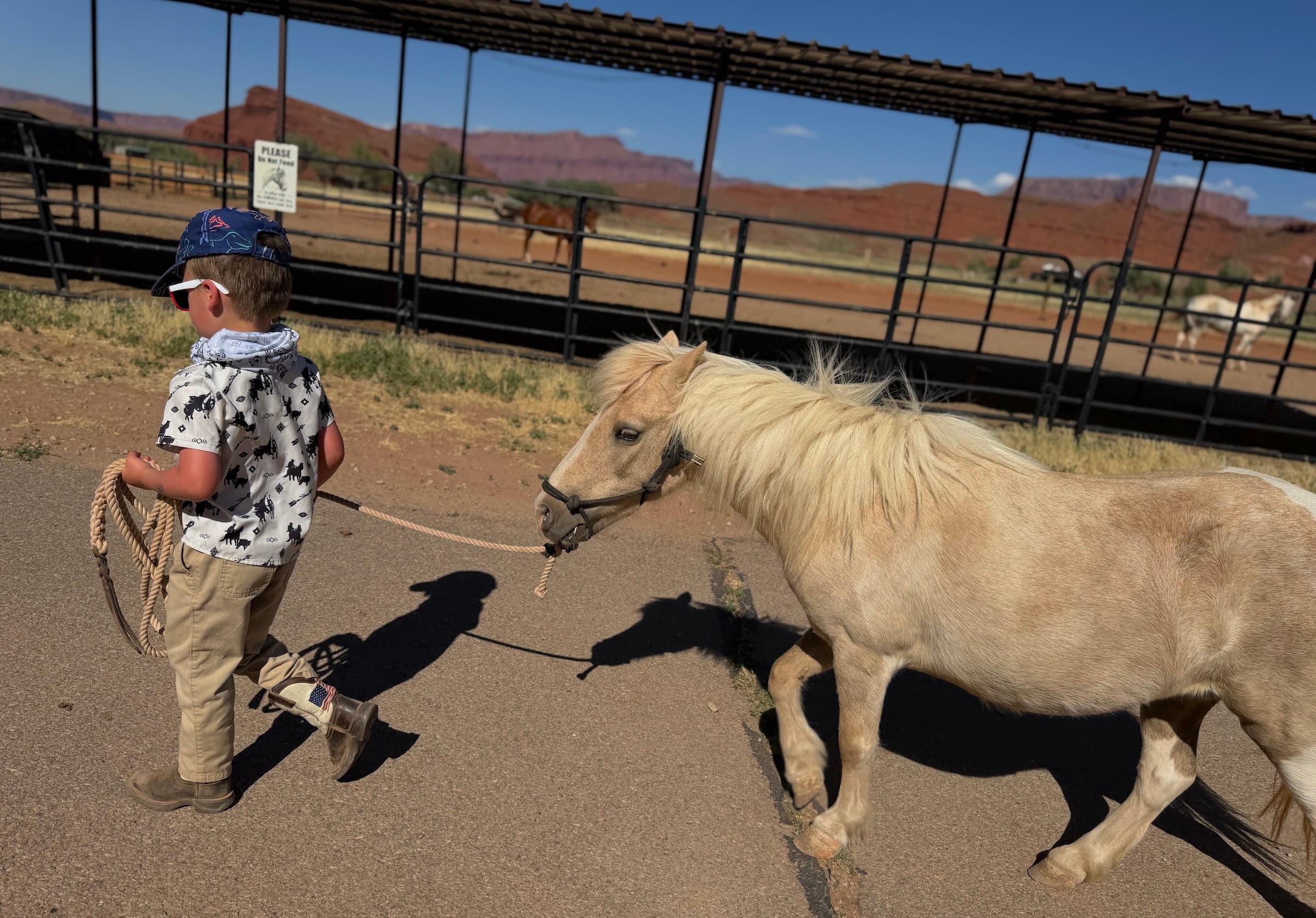 a boy leading a pony
