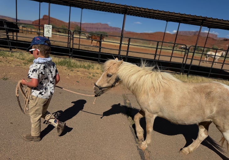 a boy leading a pony