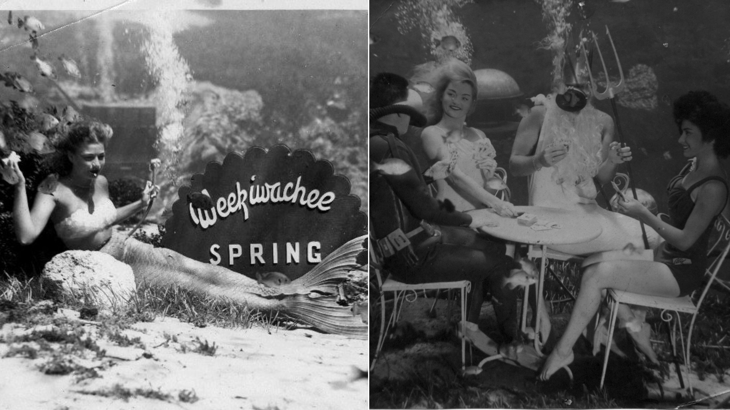 Learning How to Be a Real Mermaid With Florida’s Legendary Weeki Wachee Sirens