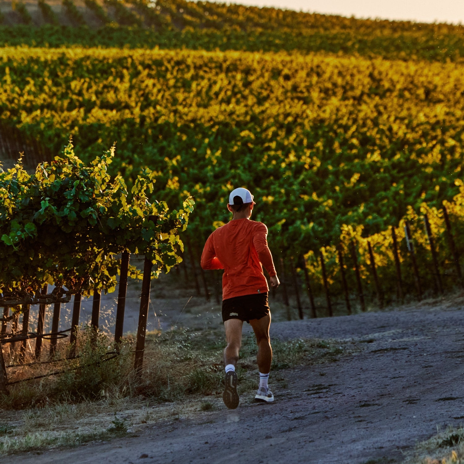 outsideonline.com - Mickey Rapkin - This Trail Running Trip Through Wine Country Cured My Workout Burnout